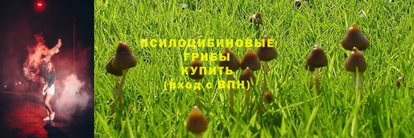 ALPHA-PVP Кодинск