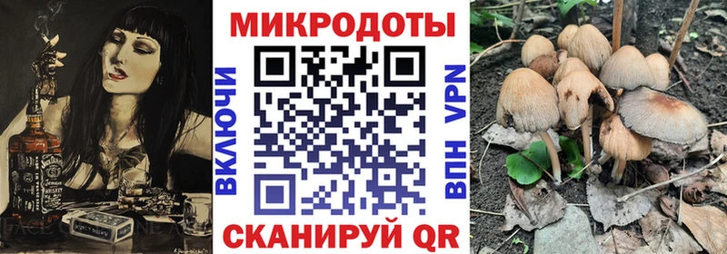 Галлюциногенные грибы Psilocybine cubensis мега ссылки Красновишерск даркнет сайт
